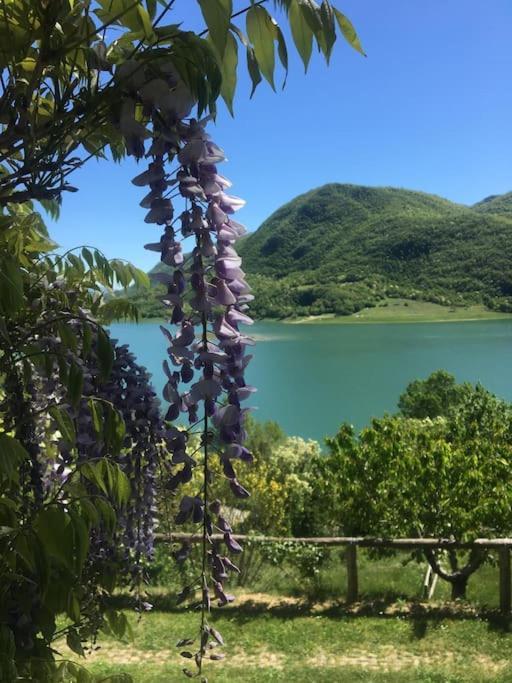 Colle di ToraCasa Sul Lago Nonna Gio'公寓 外观 照片